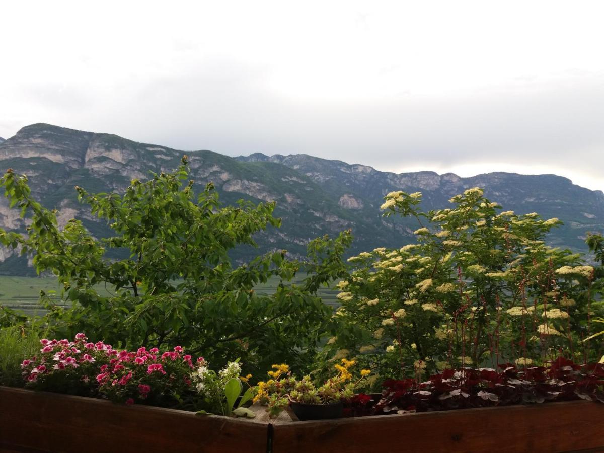 B&B Klammhof Panorama 萨洛尔诺 外观 照片